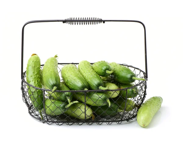 Green cucumber on the white — Stock Photo, Image