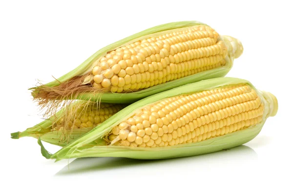 Fresh corn on plate on — Stock Photo, Image