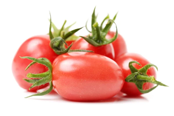 Légumes de tomates et feuilles de persil — Photo