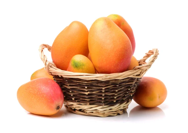 Mango på vit bakgrund — Stockfoto