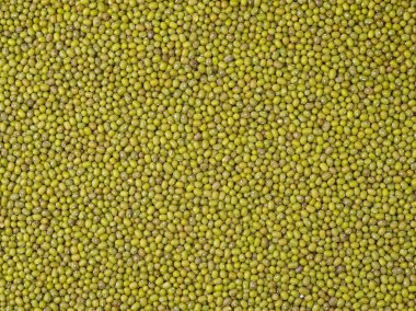 Kaba sarı sıva portre