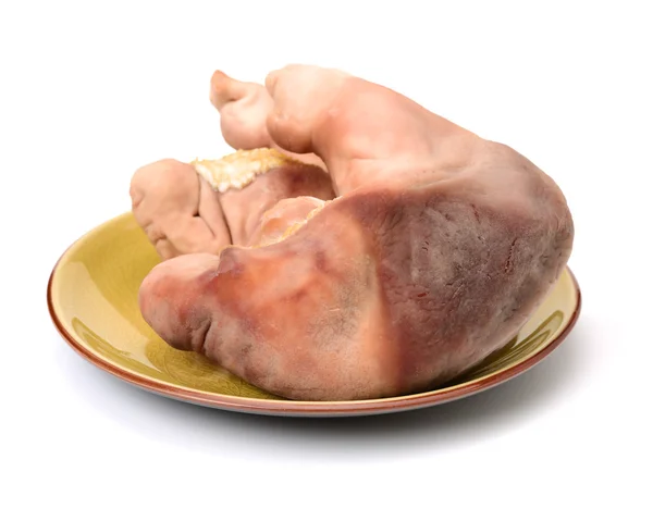 Órgãos de porco cozidos em branco — Fotografia de Stock