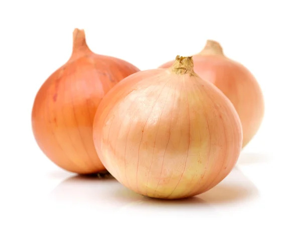 Gold onion vegetable bulbs on — Stock Photo, Image