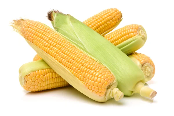 Few corn isolated on white