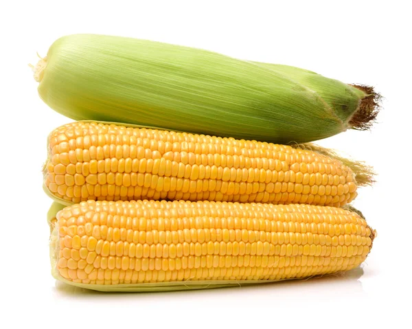 Corn on white background — Stock Photo, Image