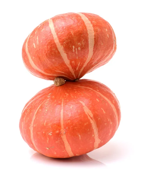 Orange pumpkin on white background — Stock Photo, Image