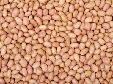 Fıstık çekirdekleri arka plan