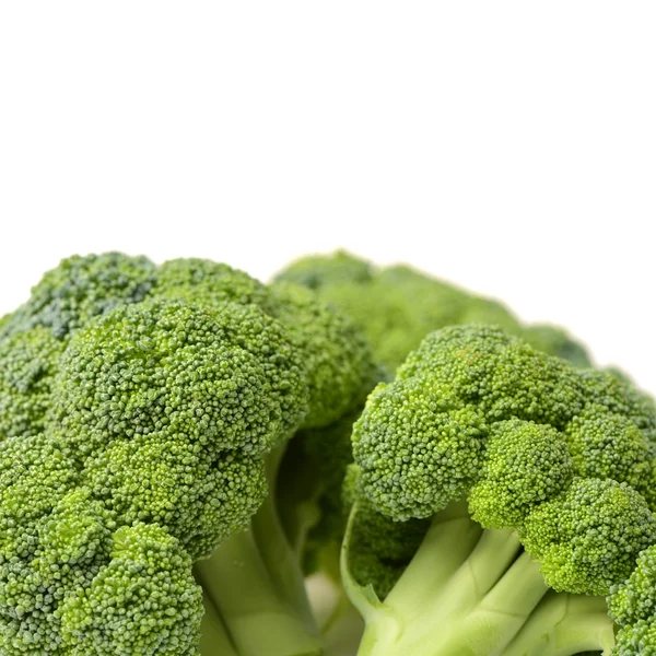 Broccoli på vit bakgrund — Stockfoto