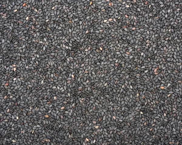 Background of poppy seeds — Stock Photo, Image