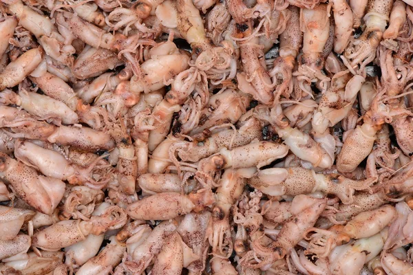 Lots of shrimps close up — Stock Photo, Image