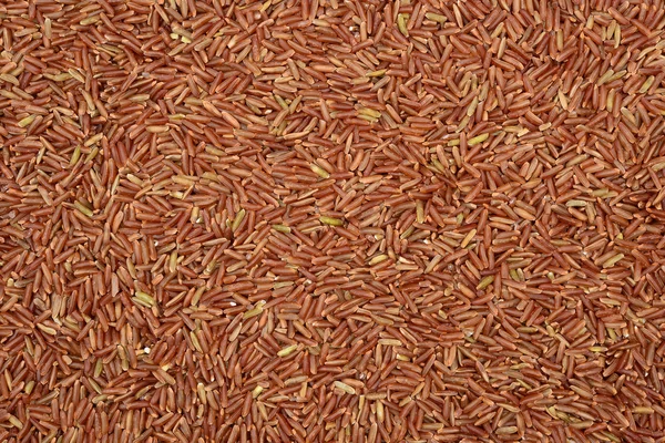 Bruine rijst zon. — Stockfoto