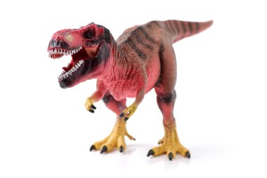 Tyrannosaurus beyaz arka plan üzerinde