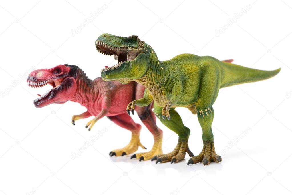 tyrannosaurus on white background