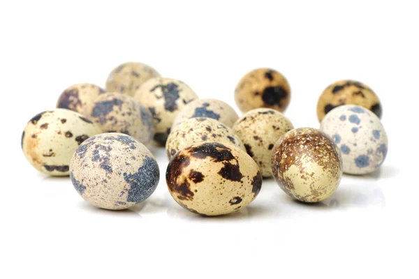 Grupo de huevos de codorniz — Foto de Stock