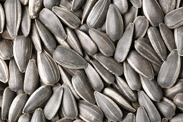 Sunflower seeds background closeup — Stock Photo, Image