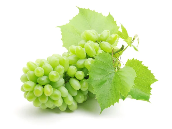 Bunch of green grapes — Stock Photo, Image