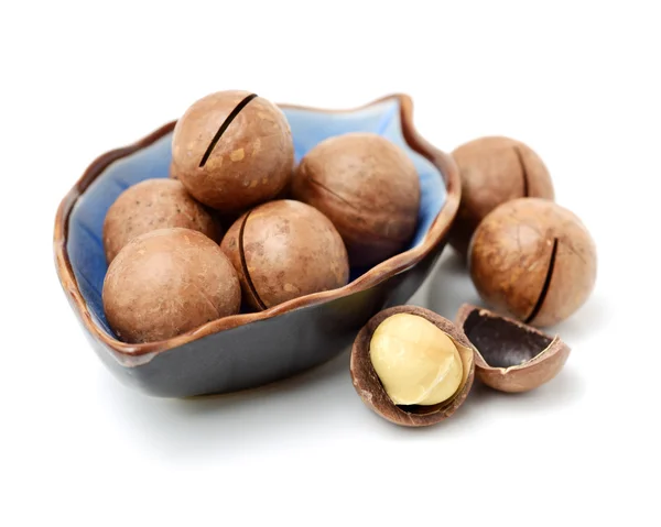 Vyloupané a para ořechy macadamie — Stock fotografie