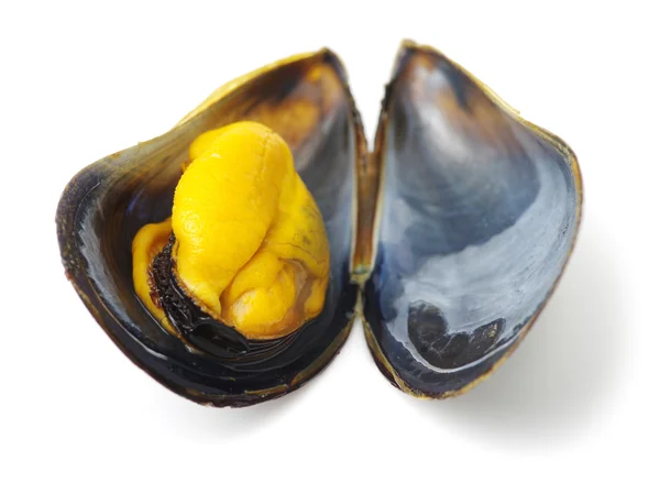 Cozze isolate su sfondo bianco — Foto Stock