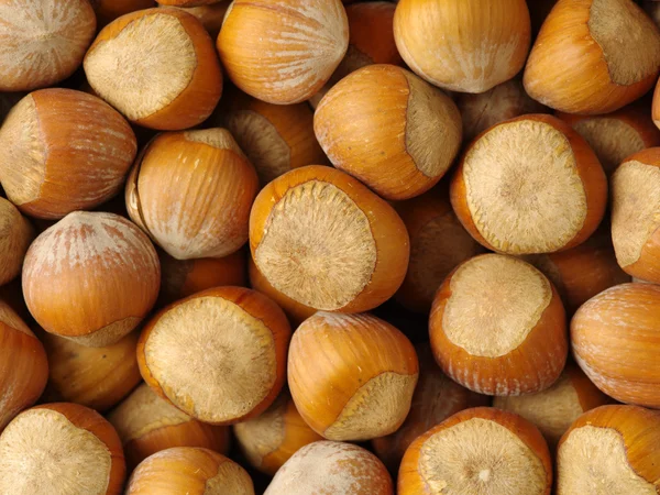 Hromadu lískových ořechů zblízka — Stock fotografie