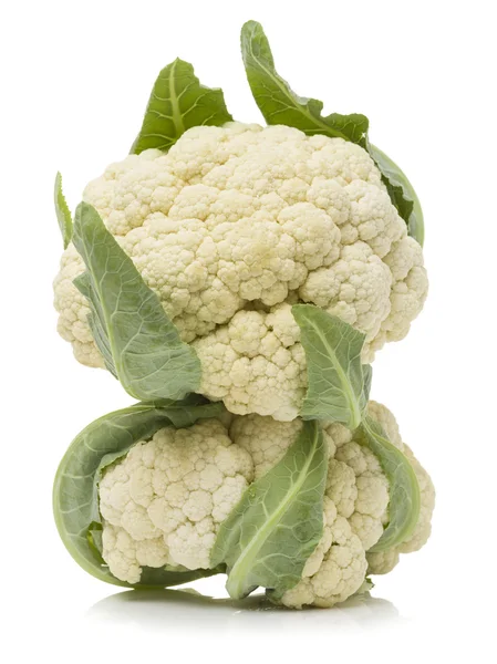 Fresh cauliflower background — Stock Photo, Image