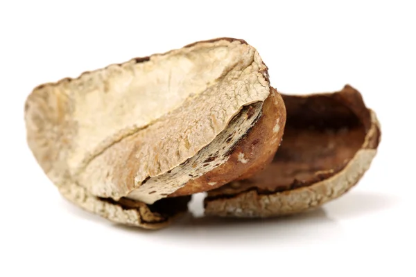 Бразильские орехи на белом фоне — стоковое фото