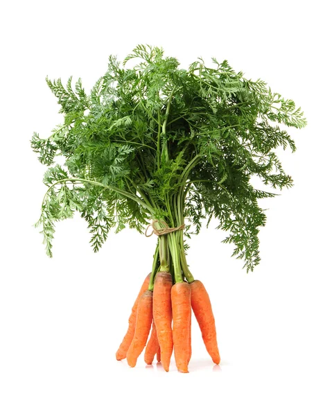 Morot grönsak med lämnar isolerade — Stockfoto