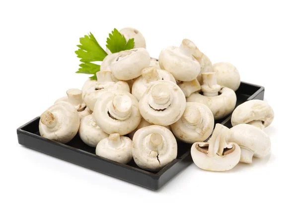 Funghi bianchi su sfondo bianco — Foto Stock