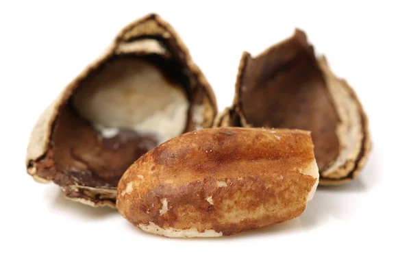 Бразильские орехи на белом фоне — стоковое фото