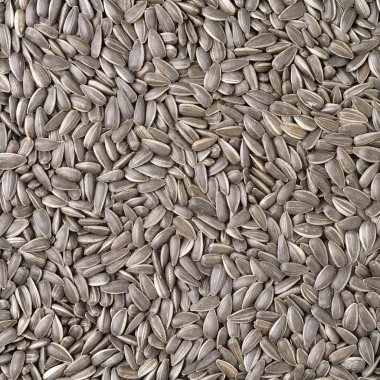 arka plan için organik ayçiçeği tohumu 