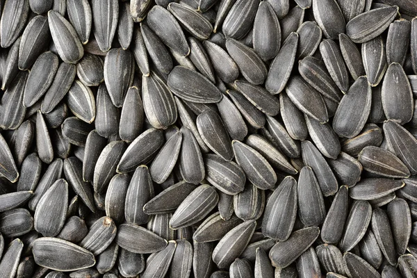 Black sunflower seeds. For texture — Stock Photo, Image