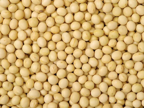 Pile of dried peas — Stock Photo, Image