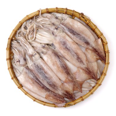 Beyaz arka plan üzerinde taze kalamar