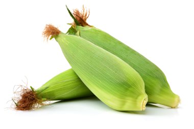 Beyaz arkaplanda mısır