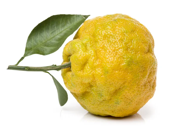 Ugly tangerine on a white — Stock Photo, Image