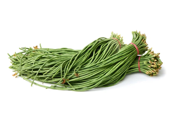 Bunch of fresh dill on — Stock Photo, Image