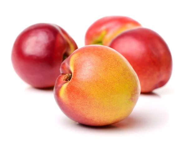 Fruits nectarinés isolés sur blanc — Photo