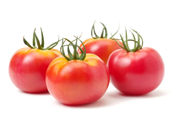 Tomaat op witte achtergrond — Stockfoto