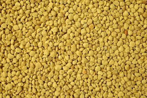 Yellow seeds millet — Stock Photo, Image