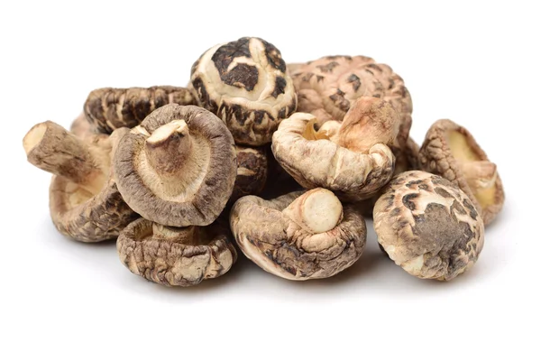 Sušené shiitake houby na bílém pozadí — Stock fotografie