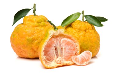 bir beyaz çirkin mandalina 