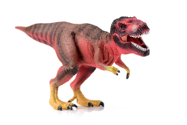 Tyrannosaurus on white background — Stock Photo, Image