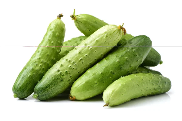Zelená okurka na bílé — Stock fotografie
