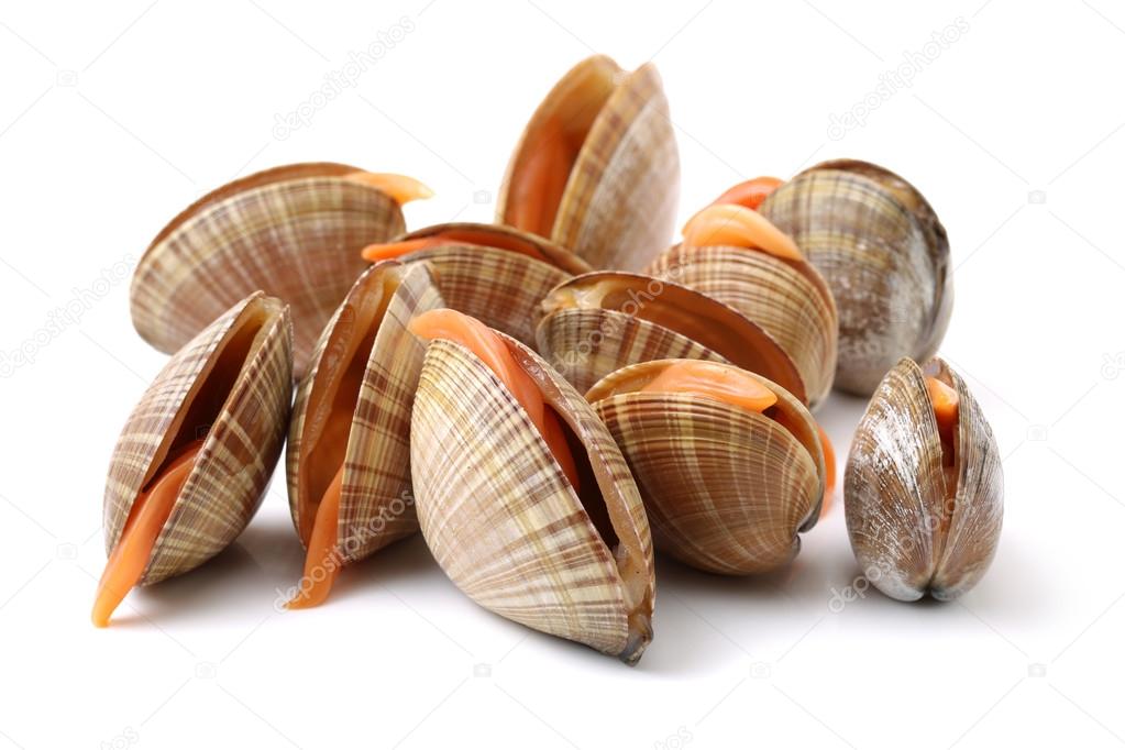 Stacked fresh raw clams on white background Stock Photo by