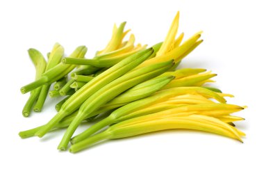 beyaz zemin üzerine daylily