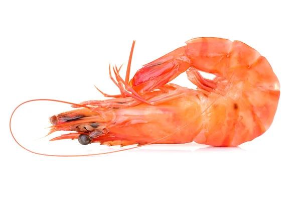 Shrimps on a white background — Stock Photo, Image