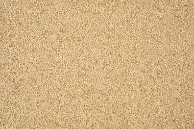 Tan sıva duvar,-ebilmek var olmak 