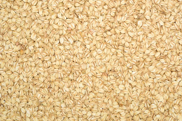 La consistenza della farina d'avena . — Foto Stock