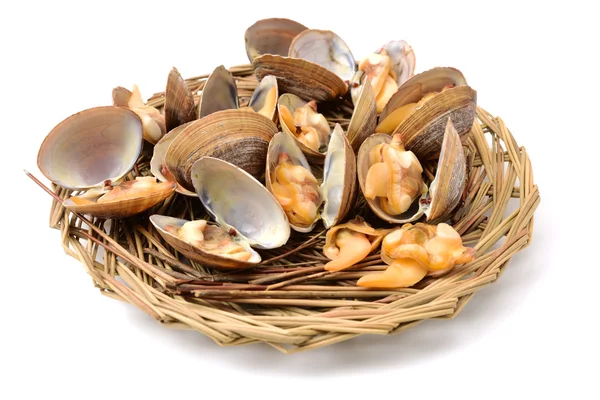 Vongole isolate su fondo bianco — Foto Stock