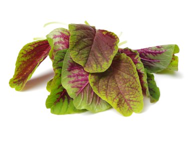 Amaranth demet yakın