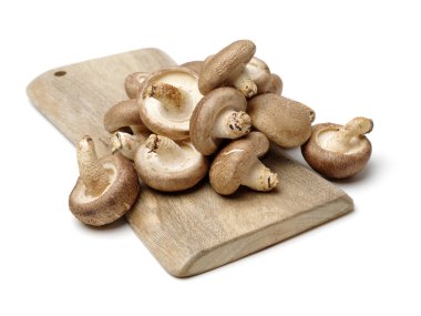 Shiitake mantar beyaz 